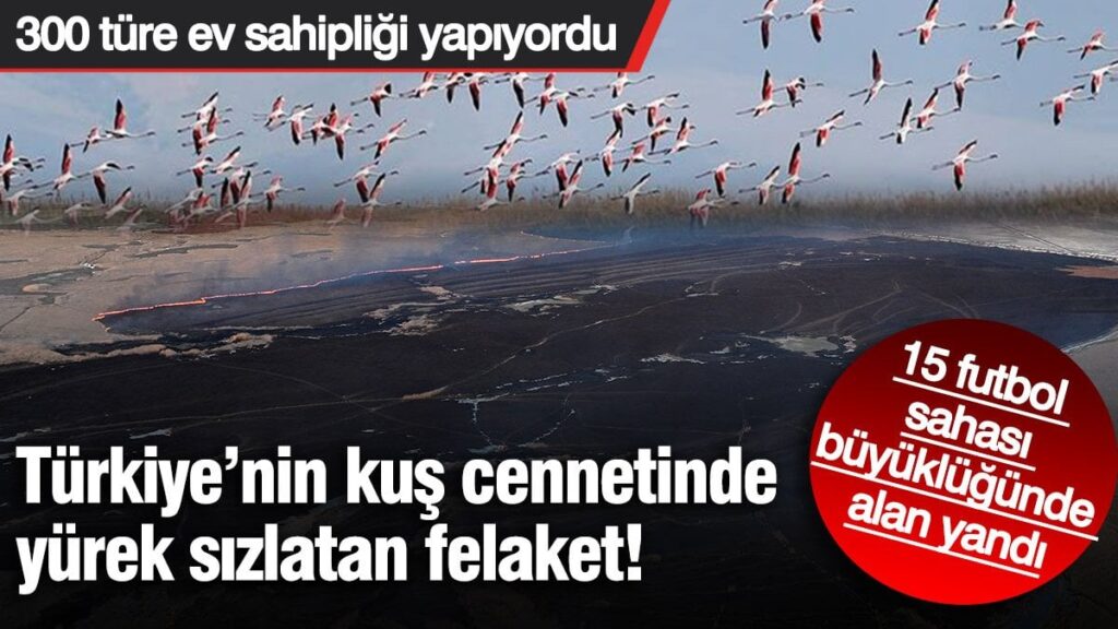 Sultan Sazlığı Milli Parkı’nda yangın felaketi! 15 futbol sahası büyüklüğünde alan yandı: 300 türe ev sahipliği yapıyordu