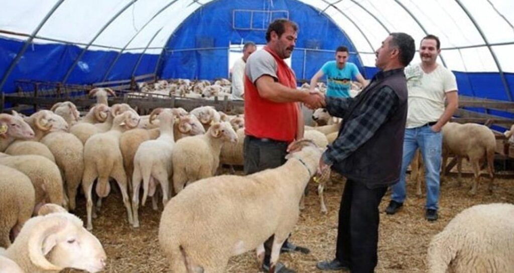Taksitle kurban dönemi