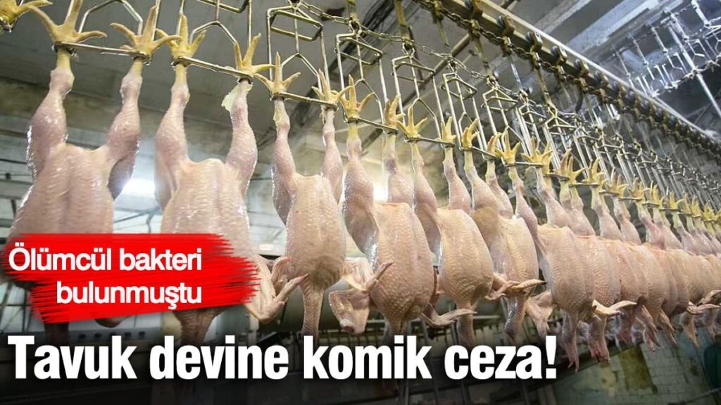 Tavuk devine komik ceza! Ölümcül bakteri bulunan ürünleri toplatılmıştı