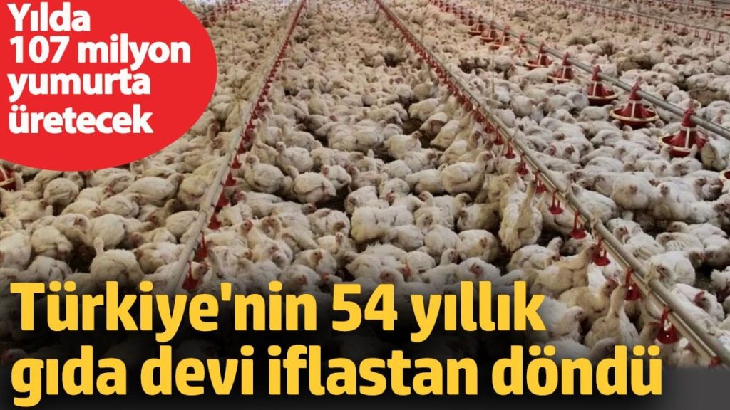 Türkiye’nin 54 yıllık gıda devi iflastan döndü