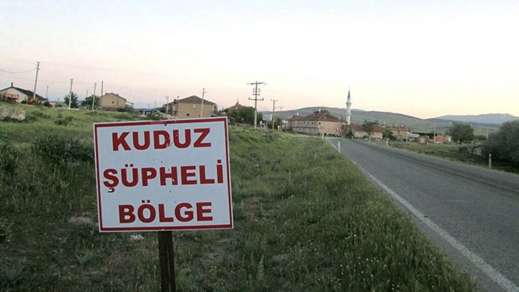 Hatay’da 4 mahalle için kuduz karantinası kararı