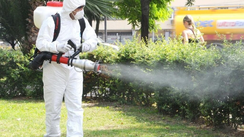Kene tehlikesindeki ölümcül hata! Uzmanlardan hayat kurtaran uyarılar