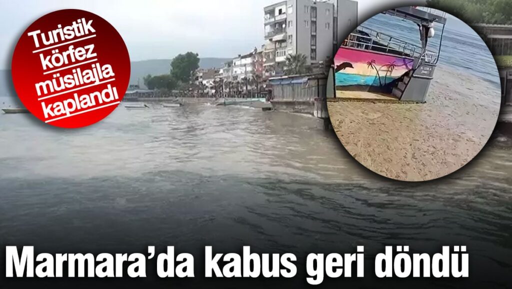 Marmara’da kabus geri döndü! Turistik körfez müsilajla kaplandı