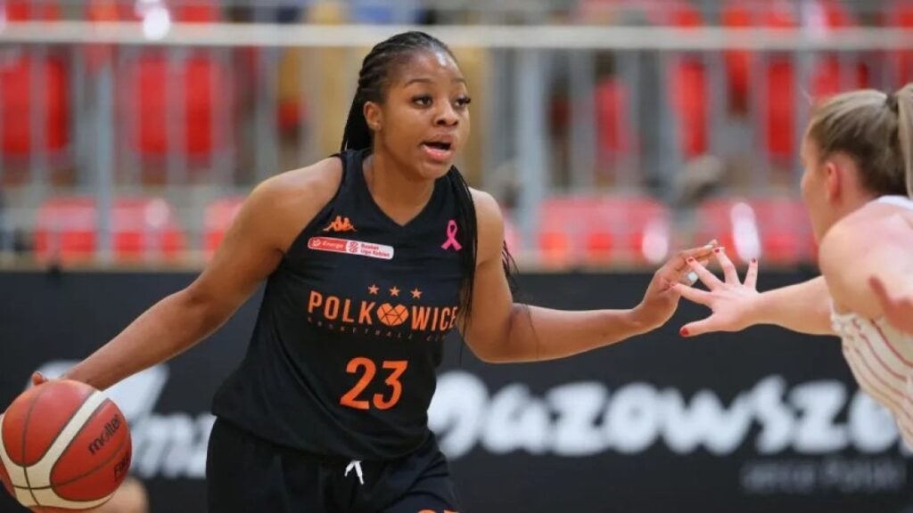 Melikgazi Kayseri Basketbol ilk transferine imzayı attırdı