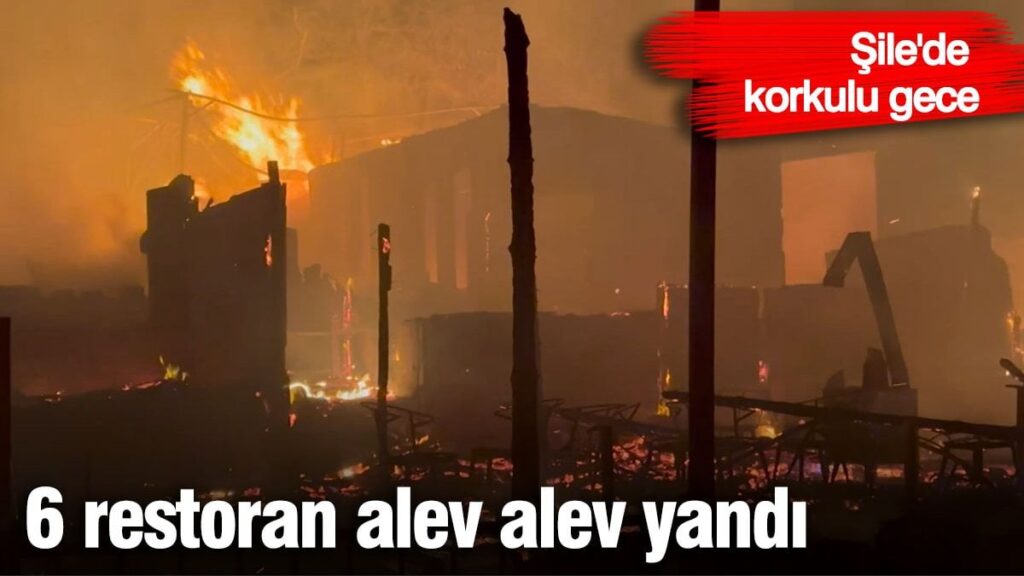 Şile’de korkulu gece!  6 restoran alev alev yandı!