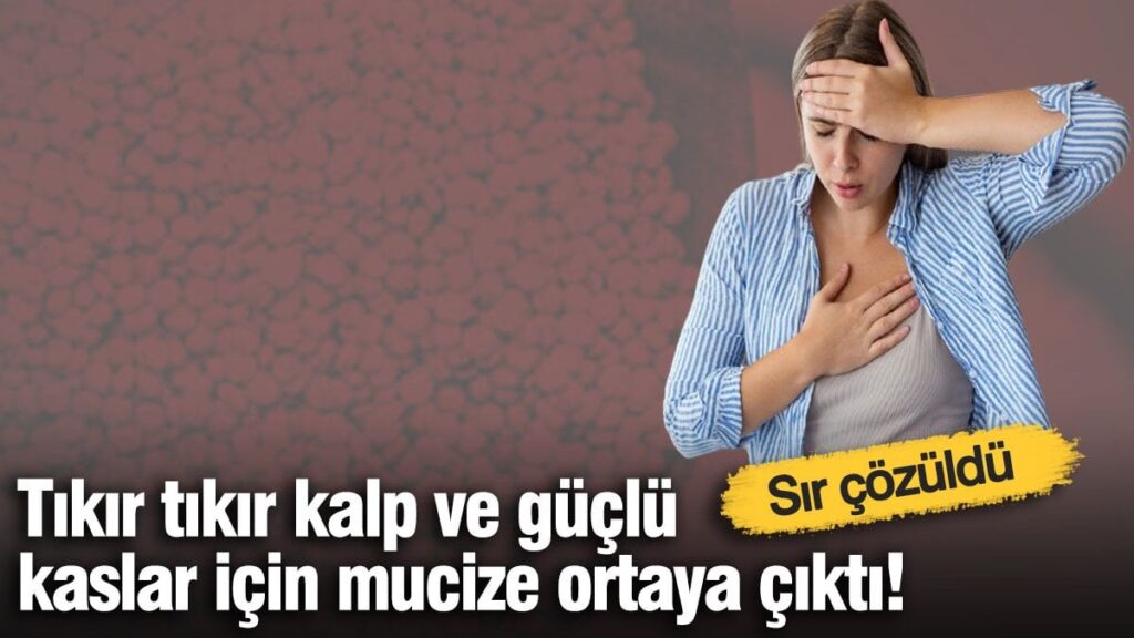 Tıkır tıkır kalp ve güçlü kaslar için mucize ortaya çıktı! Sır çözüldü