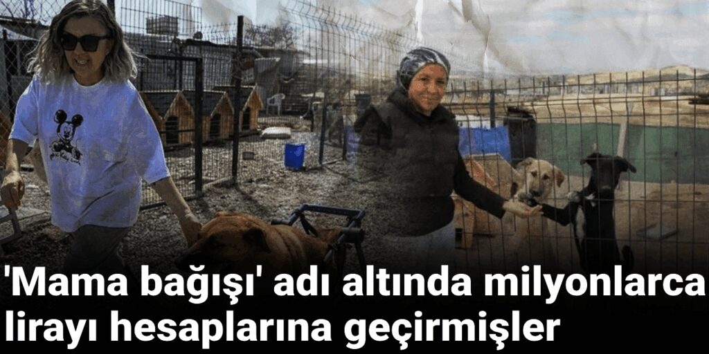 ‘Mama bağışı’ adı altında milyonlarca lirayı hesaplarına geçirmişler