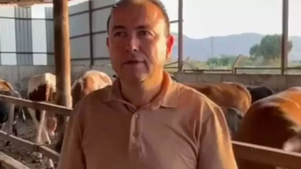 Sattığı dananın fotoğrafını çekmek isterken canından oldu