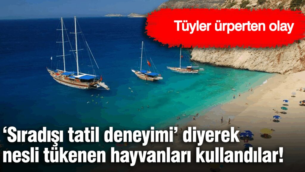 ‘Sıradışı tatil deneyimi’ diyerek nesli tükenen hayvanları kullandılar!