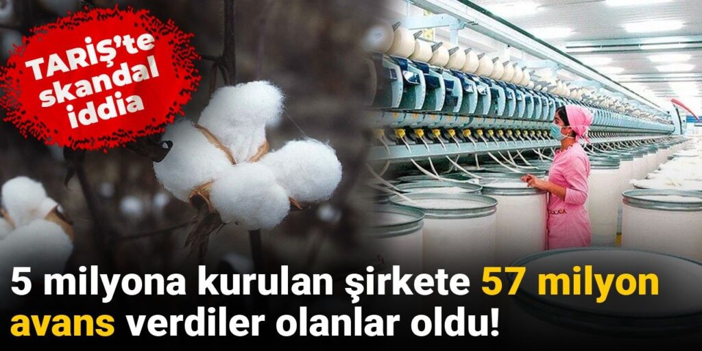 TARİŞ’te skandal iddia: 5 milyona kurulan şirkete 57 milyon avans verdiler olanlar oldu!