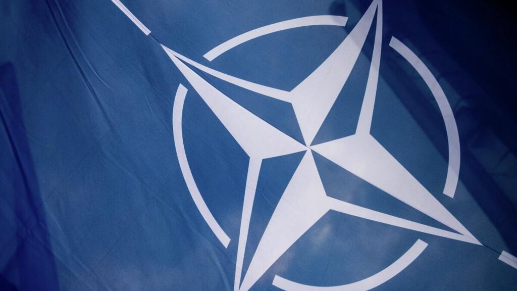 Arjantinli uzman: NATO dünyayı büyük bir savaş tehlikesinin eşiğine getirdi