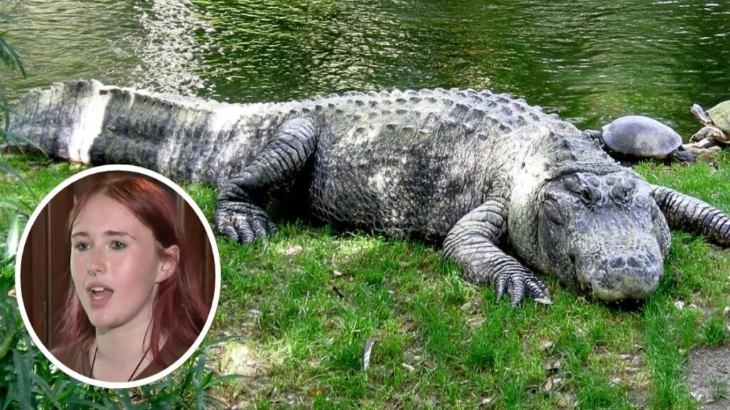 Eğlence faciaya dönüyordu: Genç kız timsahla dövüşerek hayatta kaldı