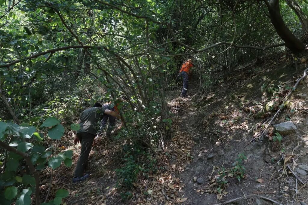 Sakarya’da Yangınla Mücadele: Hayvanlar İçin Seferberlik
