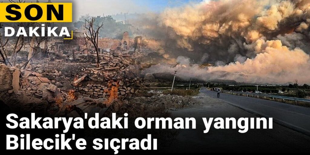 Son dakika | Sakarya’daki orman yangını Bilecik’e sıçradı