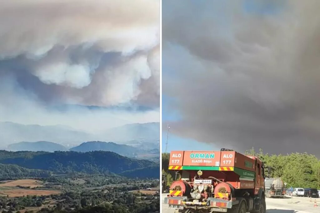 Suriye’deki orman yangını Hatay’ın Yayladağı ilçesine sıçradı