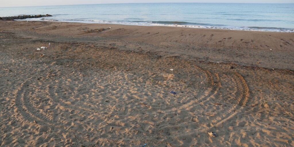 Antalya sahillerinde büyük skandal! Bu para hırsına ‘yuh artık’
