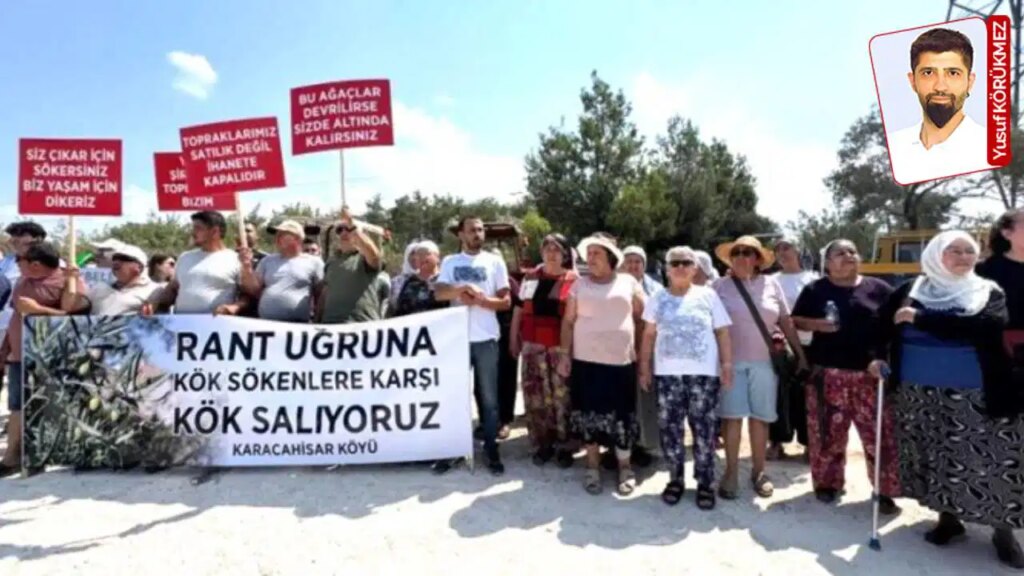 Köylüler nöbette, hukuk mücadelesi başlıyor: ‘Zeytinlikler için Danıştay’a iptal davası açacağız’