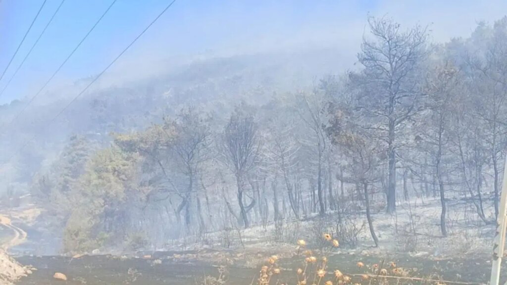 Soma’da orman yangını: Mahalle tahliye edildi, bir kişi gözaltında!