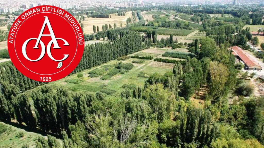 Yılmaz Özdil isyan etti: Bunları yapanlar devletin bekasından söz edebilir mi?
