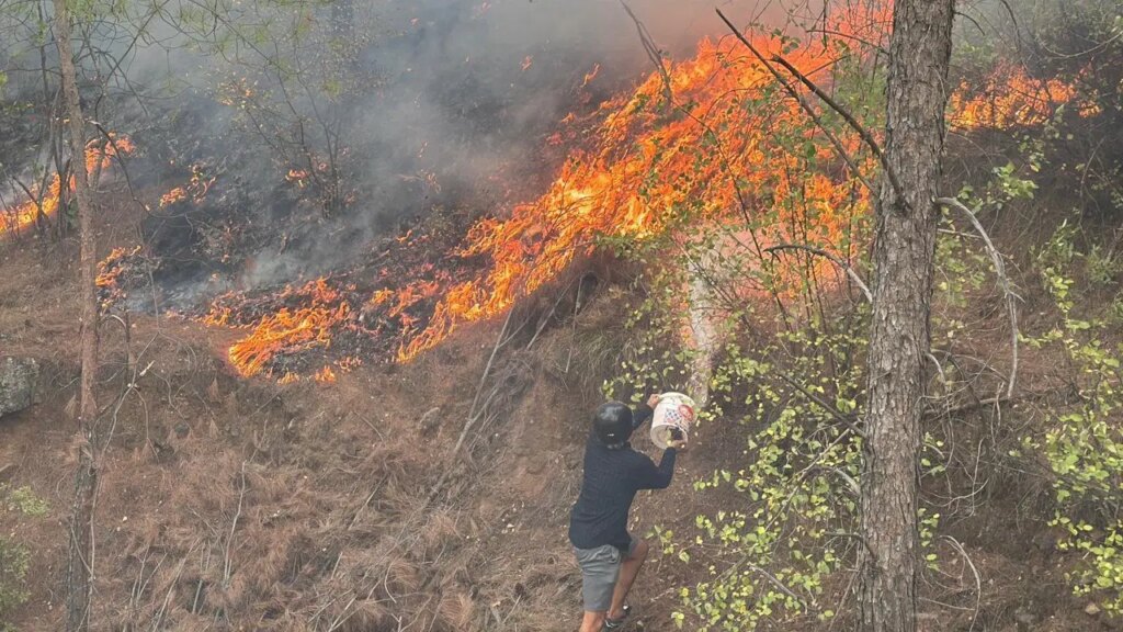 Muğla Köyceğiz ve Alanya Yaylakonak yangınları kontrol altına alındı