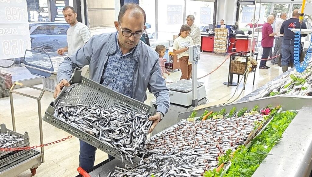 Tezgahlar şenlendi: 30’dan fazla çeşit balık var