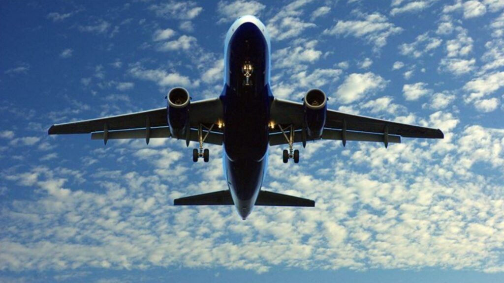 Yolcu pasaportunu yedi uçak acil iniş yaptı! Akılalmaz olay