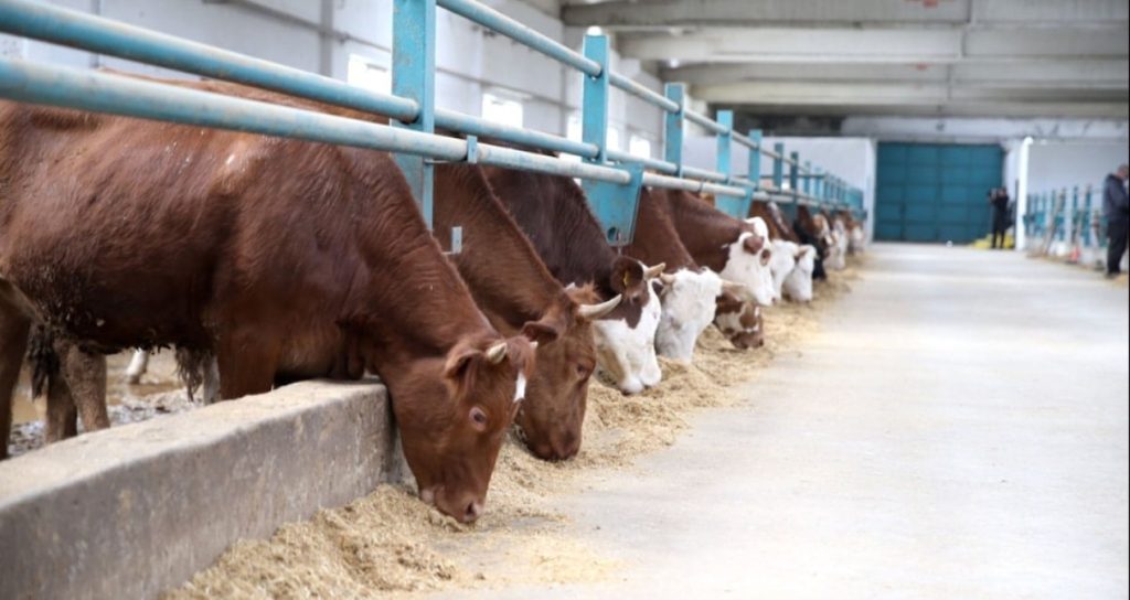 Yabancıya destek yerliye köstek