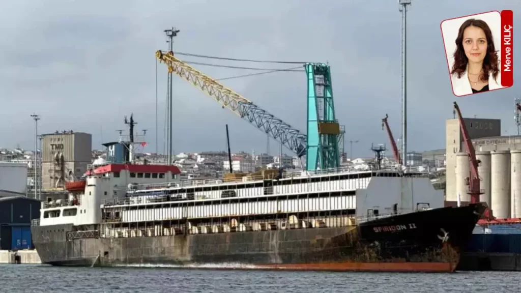 Bandırma’da ‘ithal hayvan’ skandalı: ‘120 hayvan öldü, limanda ağır koku’