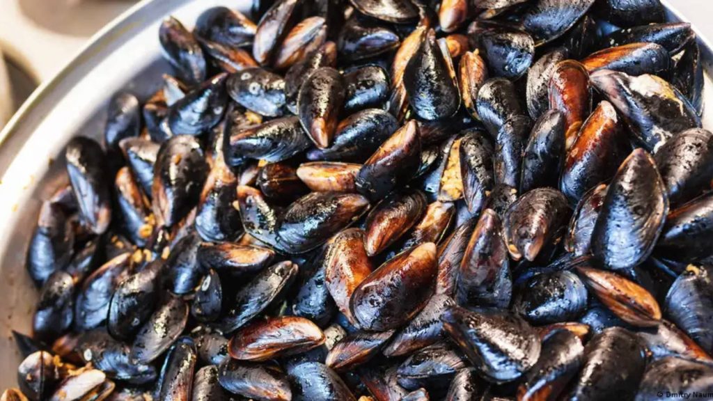 Gıda zehirlenmesi nedir, nelere dikkat edilmeli?