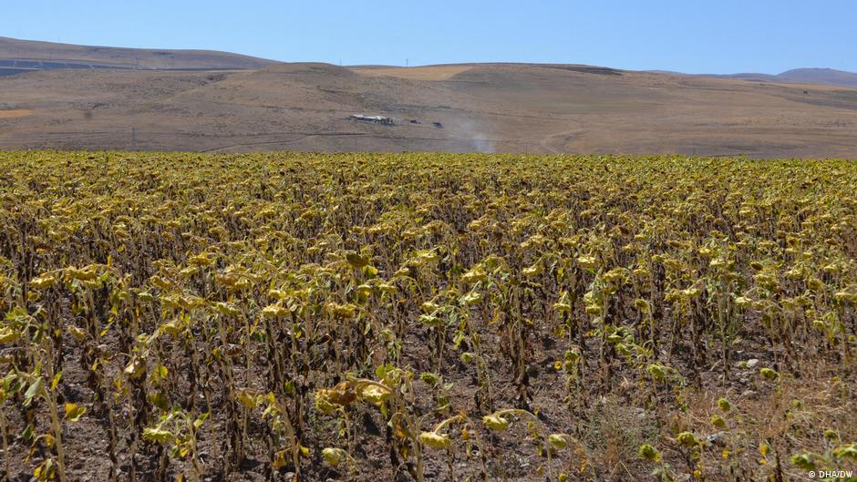 Küresel ısınma Türkiye’yi nasıl değiştirebilir?