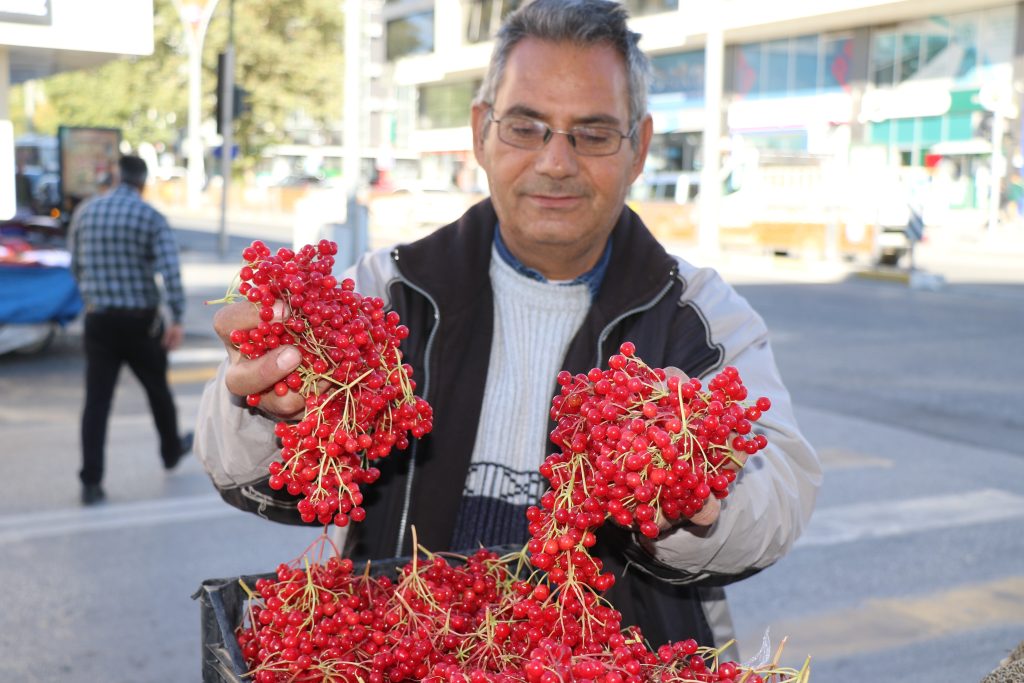 Ona halk arasında “gençlik iksiri” deniyor: Kendiliğinden yetişen meyve tezgahta