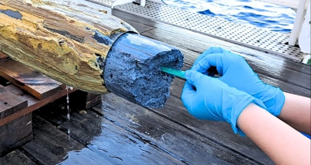 Pasifik’in mavi volkanik çamurunda gizemli yaşam izleri bulundu