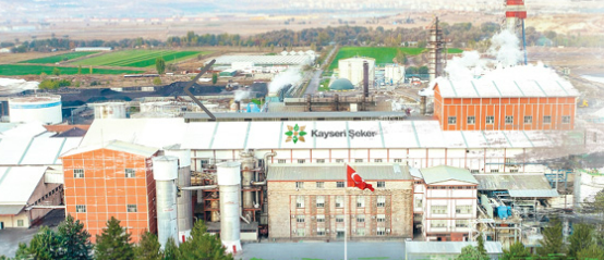 Türkiye’nin İlk Organik Şekeri Üretildi