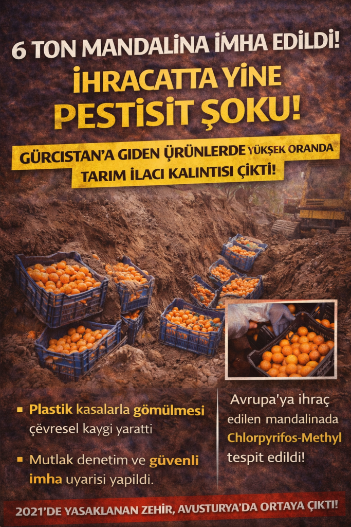 MANDALİNADA PESTİSİT SKANDALI: SINIRDAN DÖNDÜ, İMHA EDİLDİ