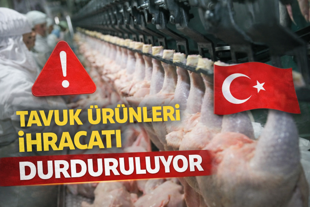 Tavuk Ürünleri İhracatı Durduruluyor