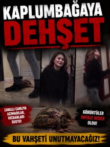 KAPLUMBAĞAYA DEHŞET: GÖRÜNTÜLER TEPKİ ÇEKTİ