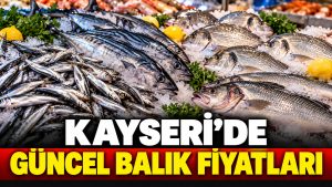 Kayseri’de Balık Fiyatları: Hamsi, İstavrit ve Palamut Kaç Lira?