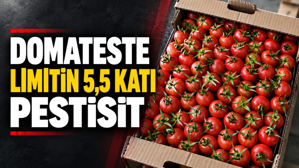 Türkiye’den gönderilen domateslerde limitin 5,5 katı pestisit